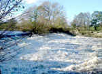 February February picture