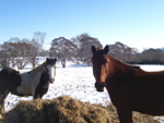 February February picture