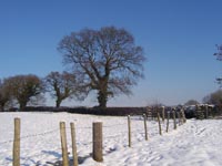 February February picture