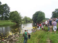 June June picture