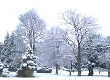 February picture