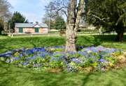 April April picture