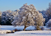 February February picture