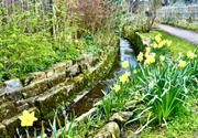April April picture