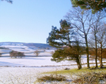 February February picture