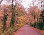 October October picture